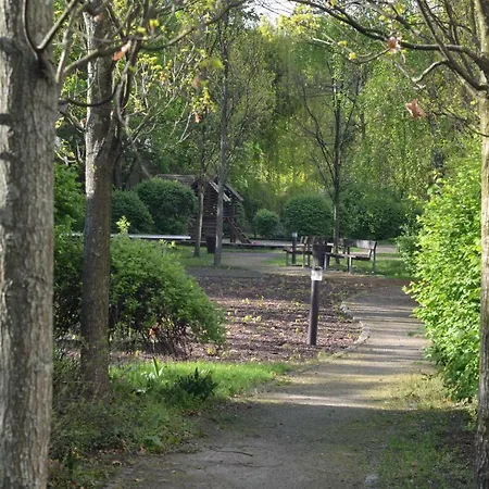 All-in-one Kurfuerstendamm Hotel *